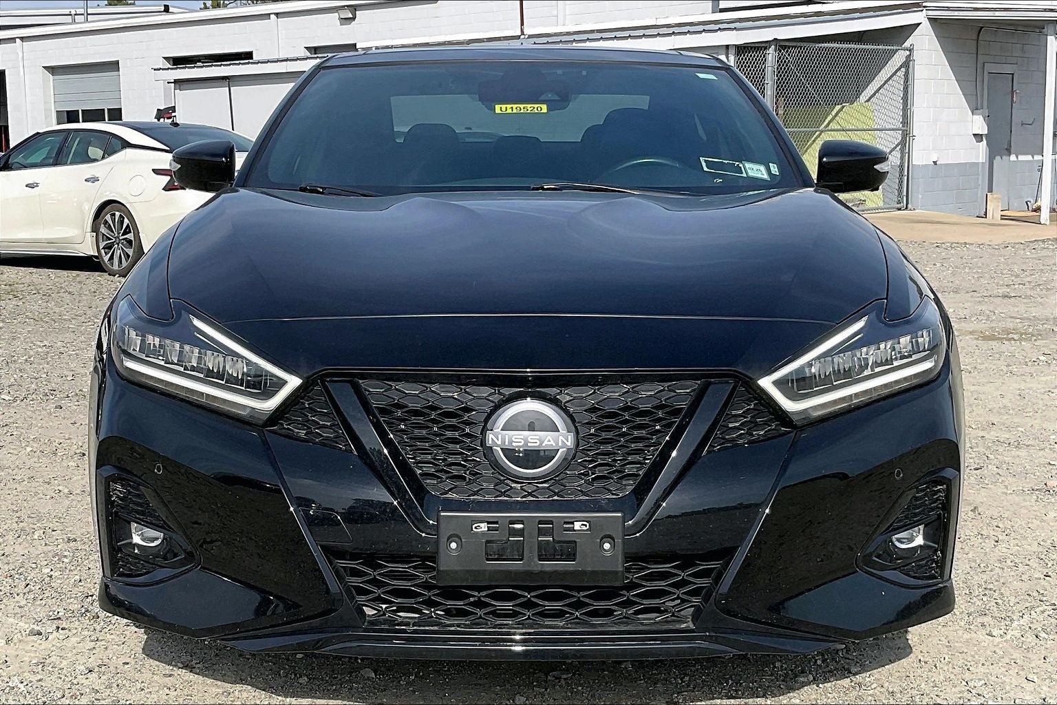 2023 Nissan Maxima SR