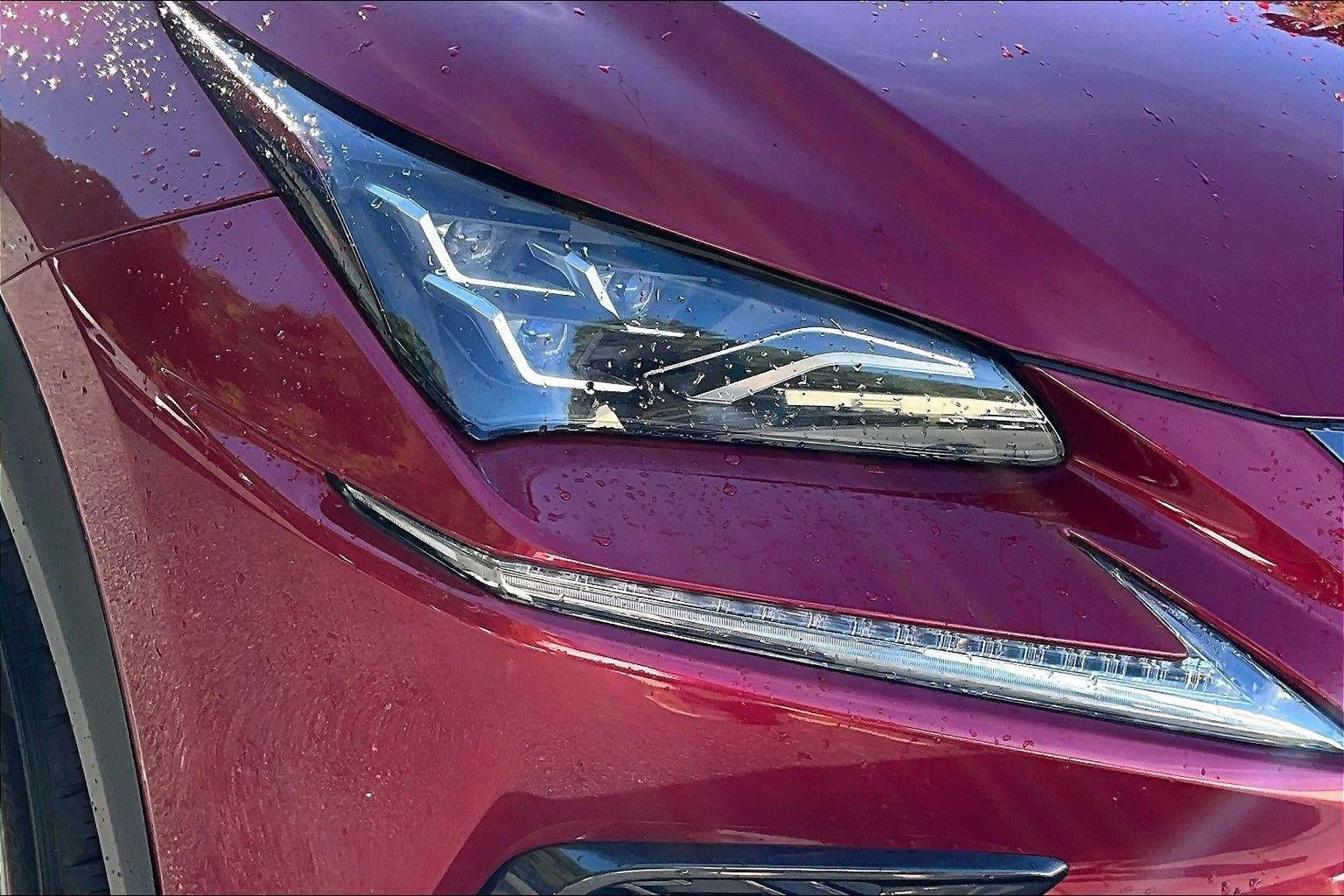 2021 Lexus NX NX 300 F SPORT