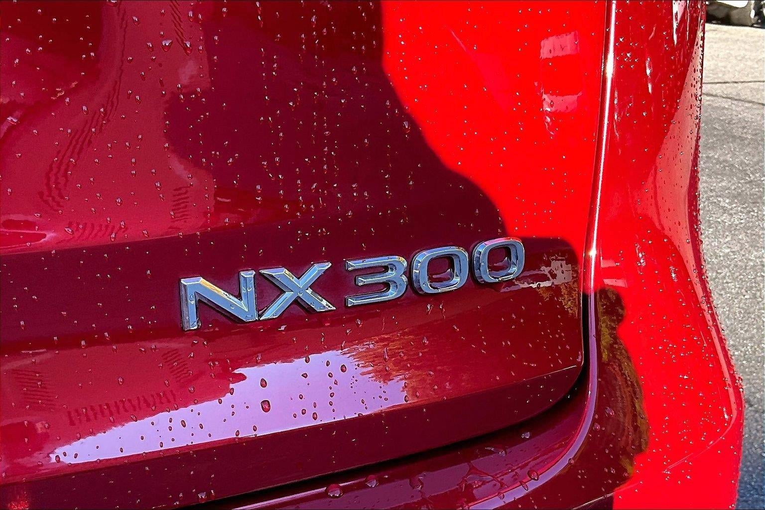 2021 Lexus NX NX 300 F SPORT