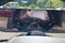 2025 Nissan Armada Platinum Reserve